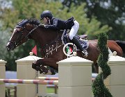 Lazzarini Up and Go CsioArJYR SS7 7481 : CSIO Giovani Arezzo, Lazzarini Alice, Up and Go, foto Stefano Secchi ©